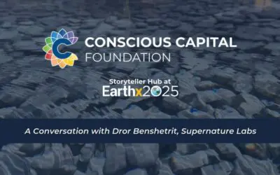 Storyteller Hub at Earthx | Dror Benshetrit