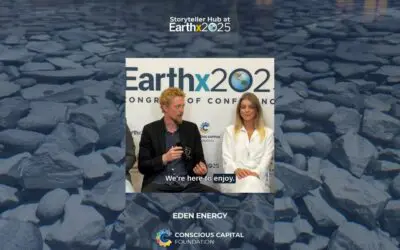 Vulnerability & Purpose