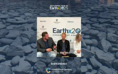 The Challenge of Awareness