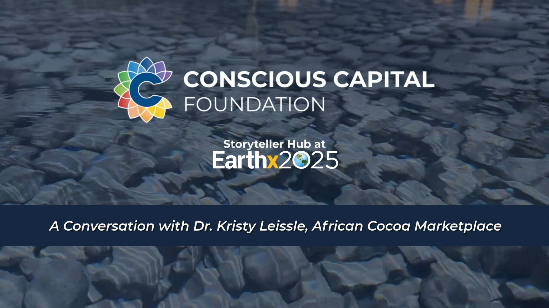 Storyteller Hub at EarthX | Dr. Kristy Leissle, PhD