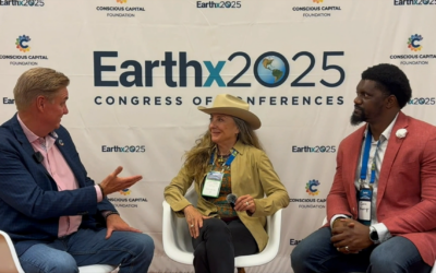 Divine Intelligence and Cemetery Discovery | Julie Ann Fineman