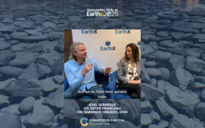 Stolen Turtles Traced Across Generations