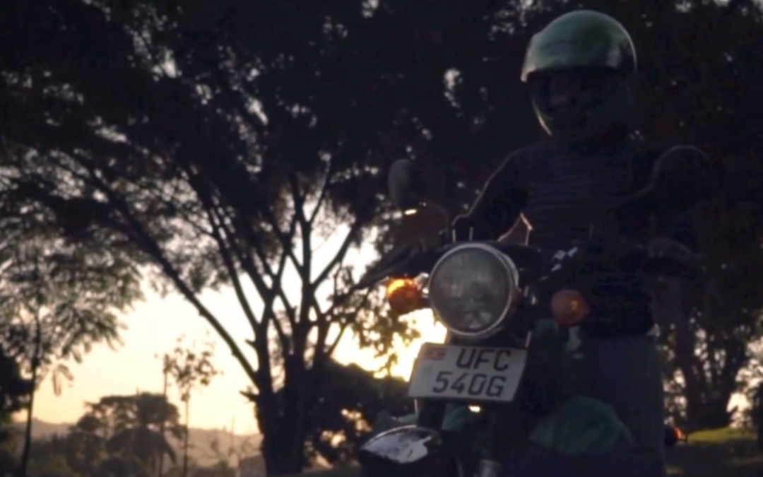 Mary Maggio | Untapped Global 