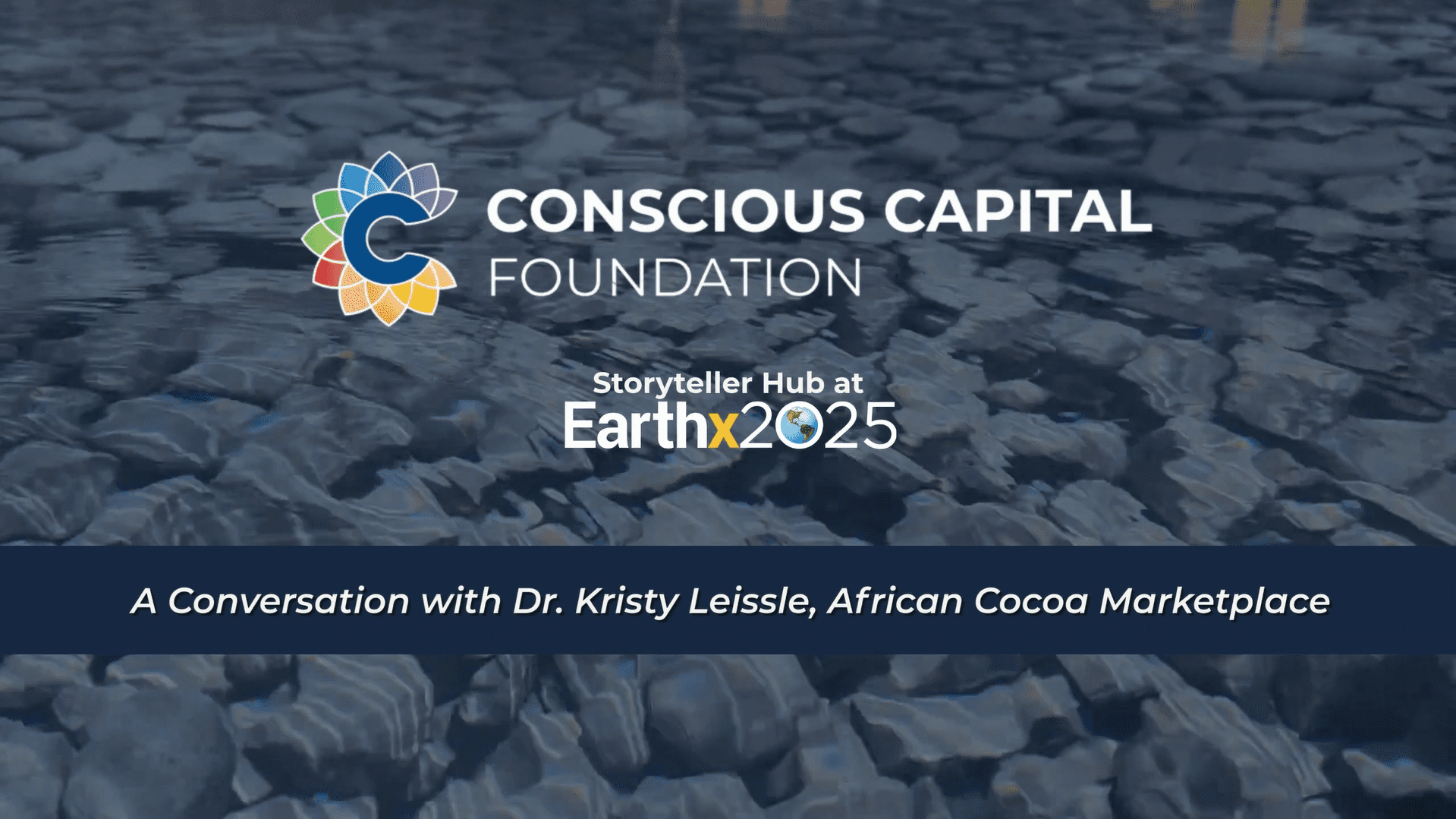 Storyteller Hub at EarthX | Dr. Kristy Leissle, PhD